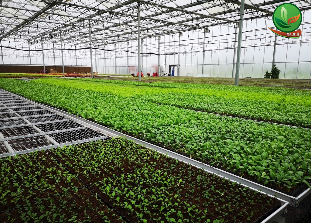 英德農業午夜福利毛片